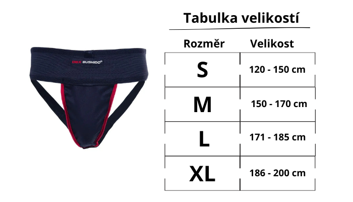 Text odstavce